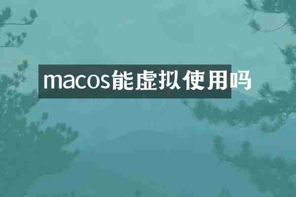 macos能虚拟使用吗