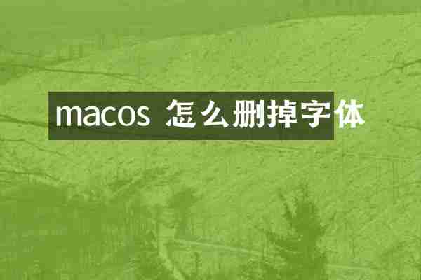 macos 怎么删掉字体