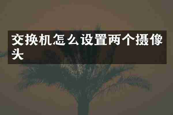 交换机怎么设置两个摄像头