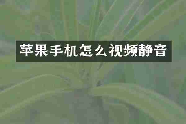苹果手机怎么视频静音