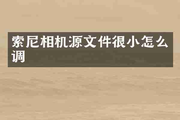 索尼相机源文件很小怎么调