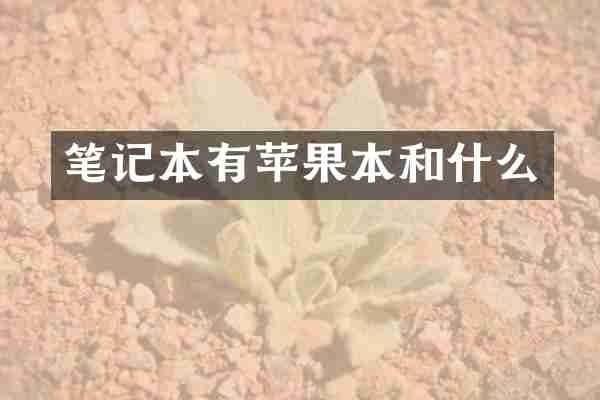 笔记本有苹果本和什么