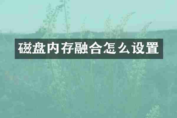 磁盘内存融合怎么设置