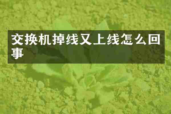 交换机掉线又上线怎么回事