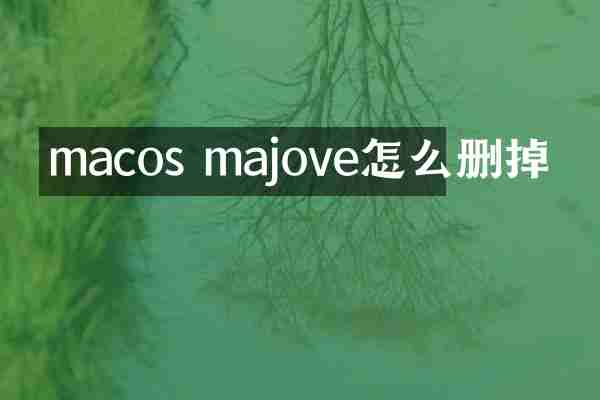 macos majove怎么删掉