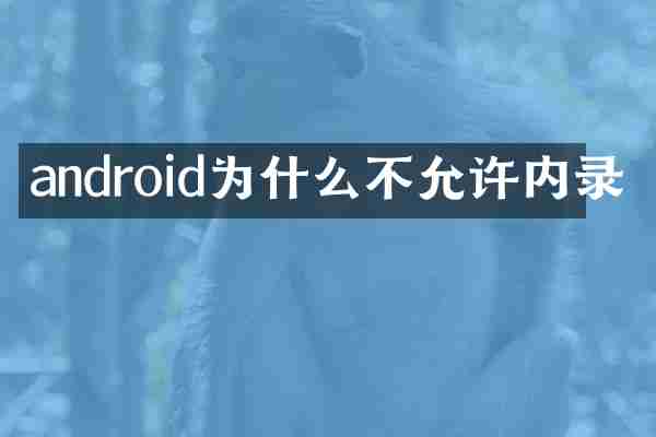 android为什么不允许内录