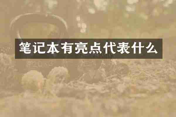 笔记本有亮点代表什么