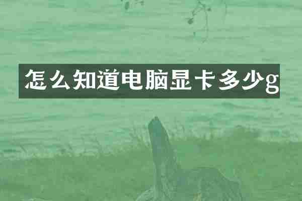 怎么知道电脑显卡多少g