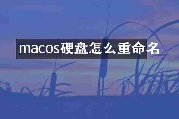 macos硬盘怎么重命名