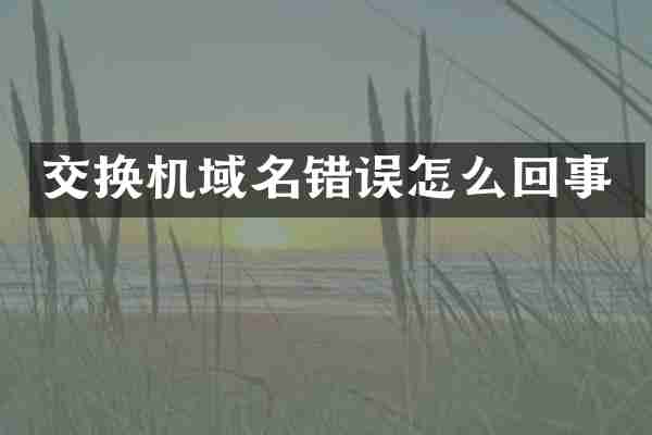 交换机域名错误怎么回事