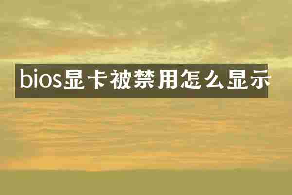 bios显卡被禁用怎么显示