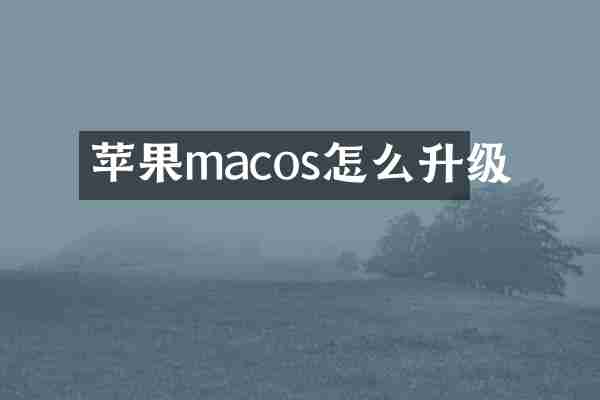 苹果macos怎么升级