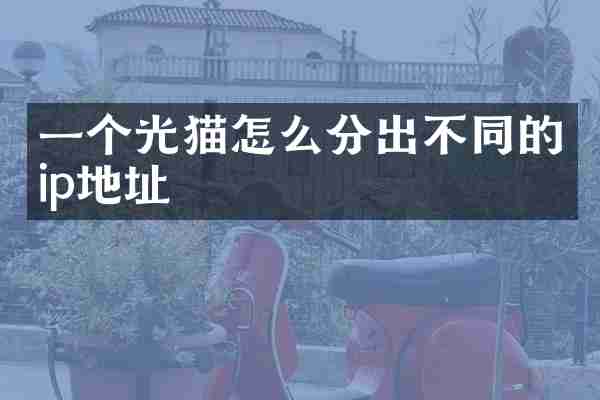 一个光猫怎么分出不同的ip地址