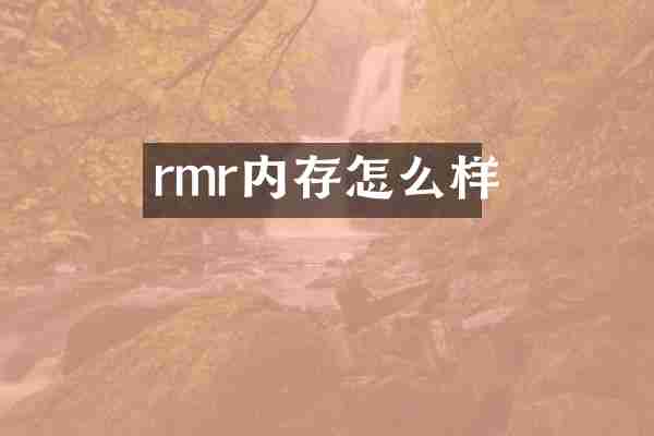 rmr内存怎么样