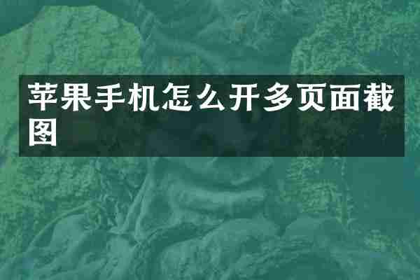 苹果手机怎么开多页面截图