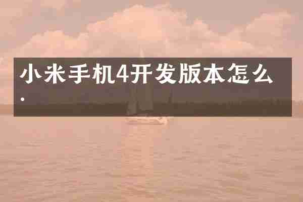 小米手机4开发版本怎么样