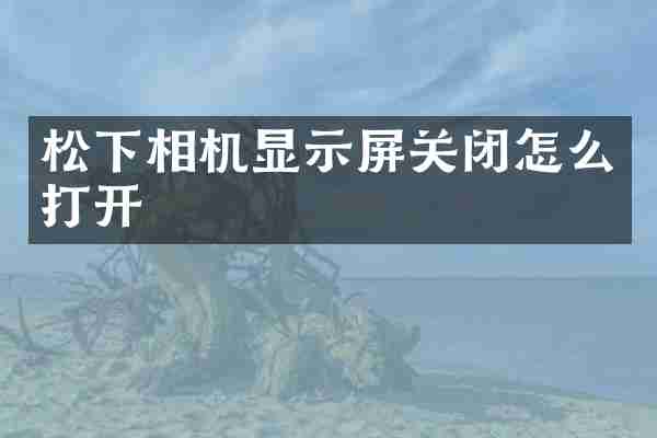 松下相机显示屏关闭怎么打开