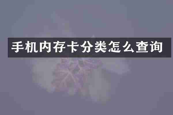 手机内存卡分类怎么查询
