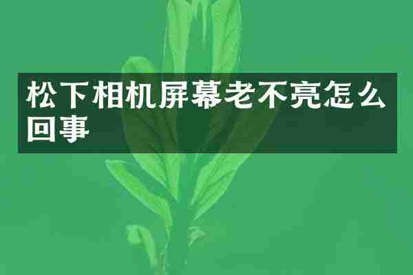 松下相机屏幕老不亮怎么回事