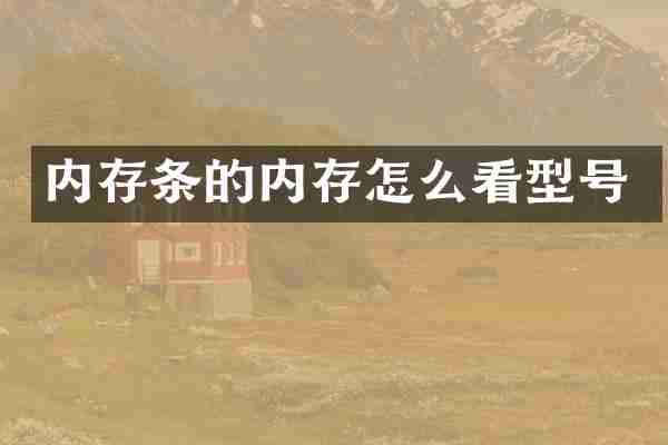 内存条的内存怎么看型号