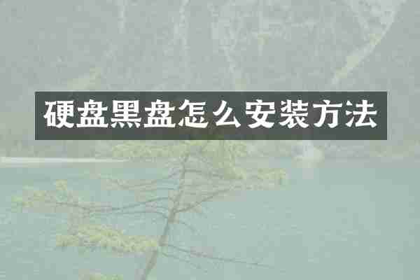 硬盘黑盘怎么安装方法