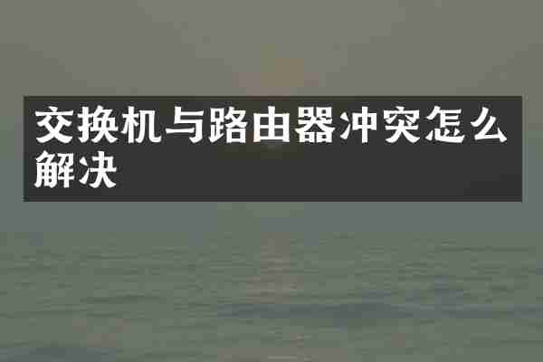交换机与路由器冲突怎么解决