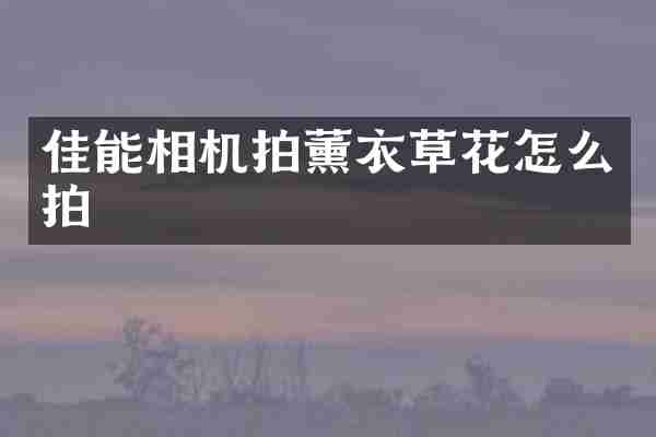 佳能相机拍薰衣草花怎么拍