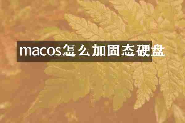 macos怎么加固态硬盘