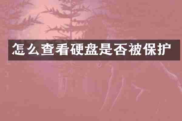 怎么查看硬盘是否被保护