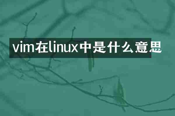 vim在linux中是什么意思