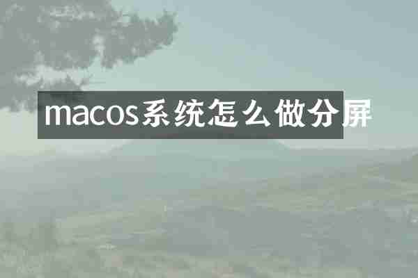 macos系统怎么做分屏