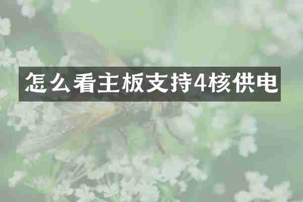 怎么看主板支持4核供电
