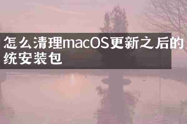 怎么清理macOS更新之后的系统安装包