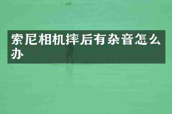 索尼相机摔后有杂音怎么办