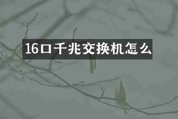 16口千兆交换机怎么