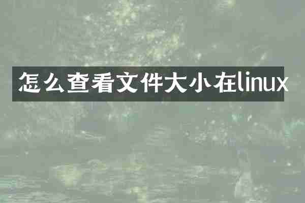 怎么查看文件大小在linux