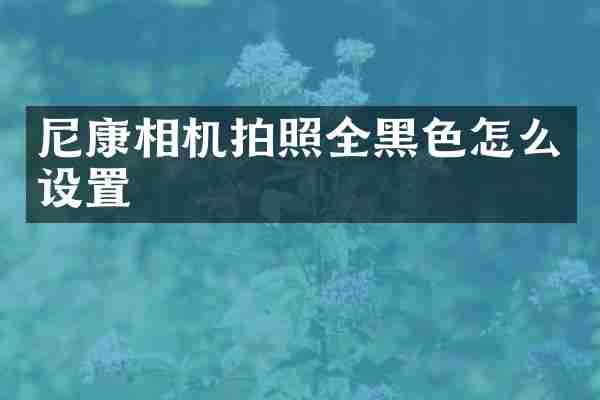 尼康相机拍照全黑色怎么设置