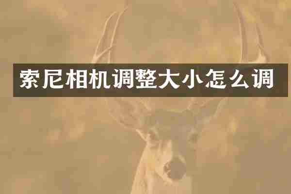 索尼相机调整大小怎么调