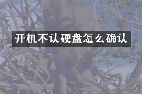 开机不认硬盘怎么确认