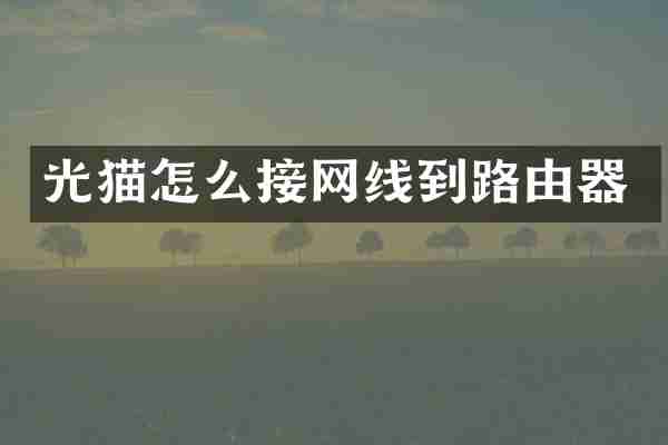 光猫怎么接网线到路由器