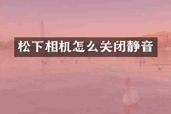 松下相机怎么关闭静音