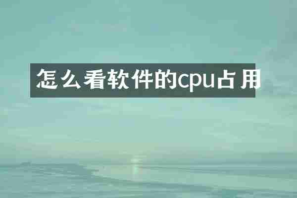 怎么看软件的cpu占用