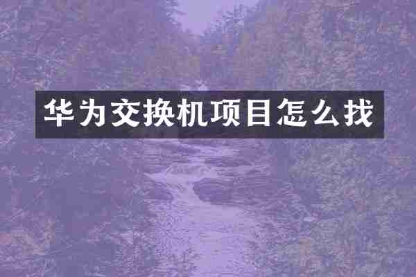 华为交换机项目怎么找