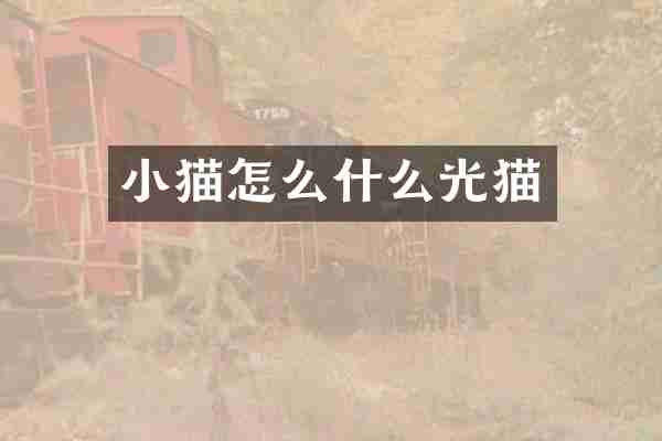 小猫怎么什么光猫