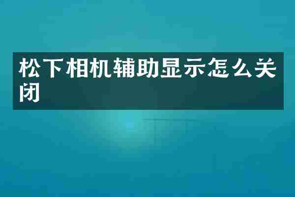 松下相机辅助显示怎么关闭