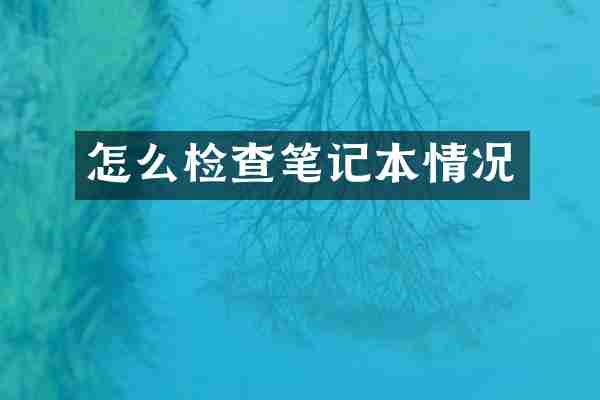 怎么检查笔记本情况