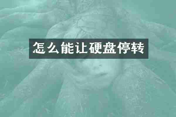 怎么能让硬盘停转