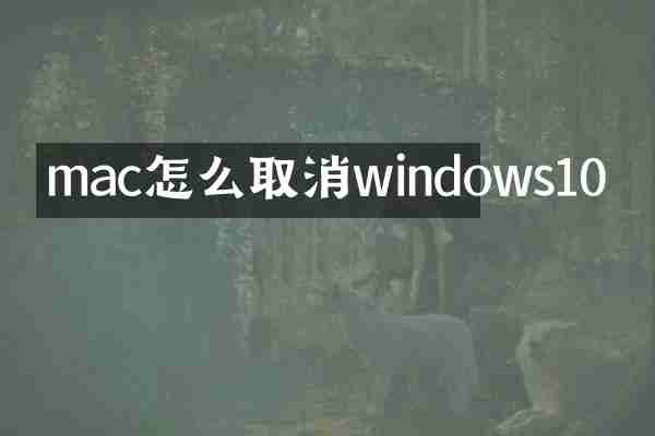 mac怎么取消windows10
