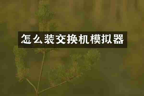 怎么装交换机模拟器