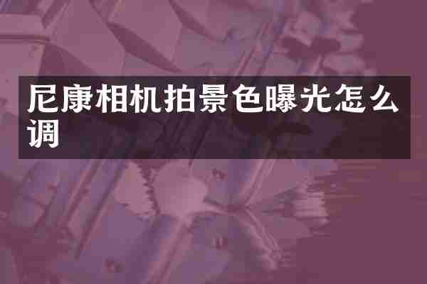 尼康相机拍景色曝光怎么调